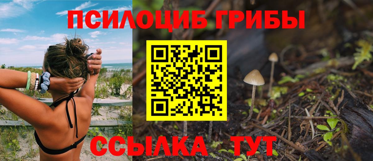 Псилоцибиновые грибы GOLDEN TEACHER Большой Камень